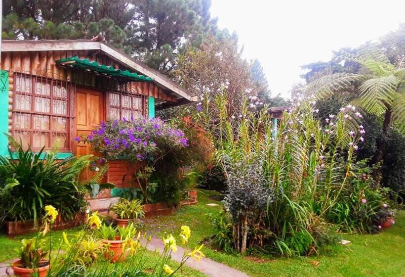 اتاق سوپریور خانوادگی, Hostal Cabañas Ave Maria