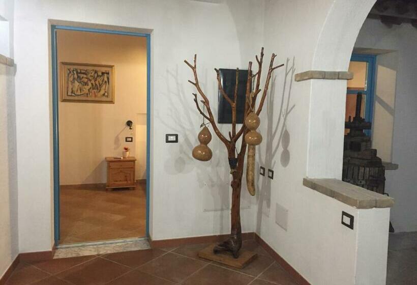 اتاق استاندارد, Centu Concas