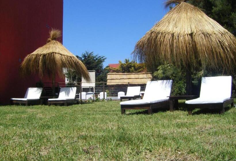 اتاق استاندارد, San Remo Amapola Apart