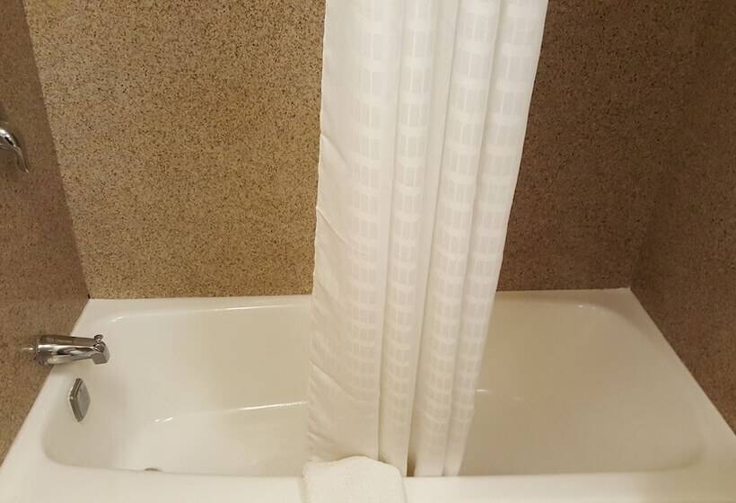 اتاق لوکس, Airport Waterfront Inn