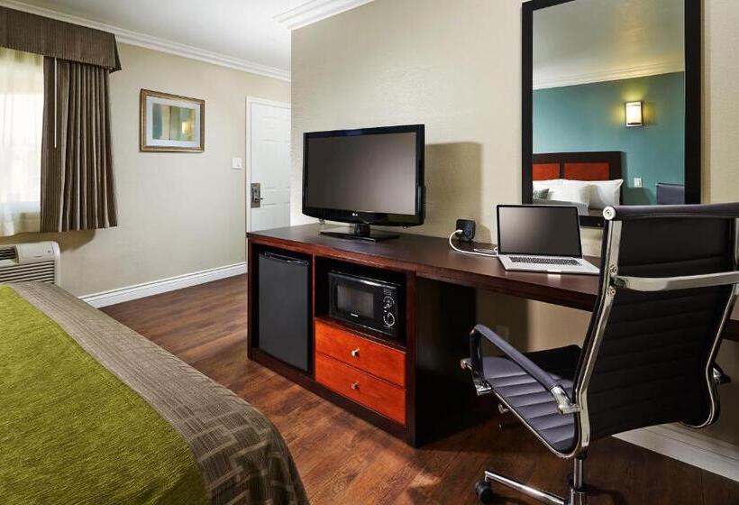 اتاق استاندارد, American Inn Downey