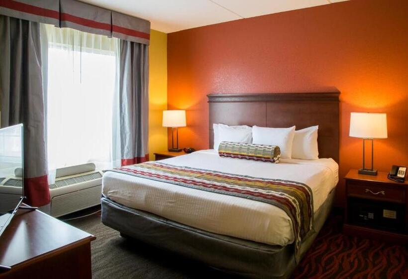 Quarto Standard Cama King, Best Western Executive Inn And Suites