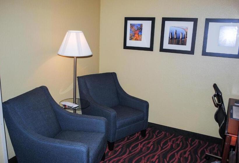 Standard Room Adapted for people with reduced mobility, Best Western Executive Inn And Suites