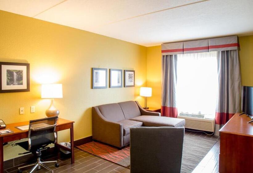 Suite King Bed, Best Western Executive Inn And Suites