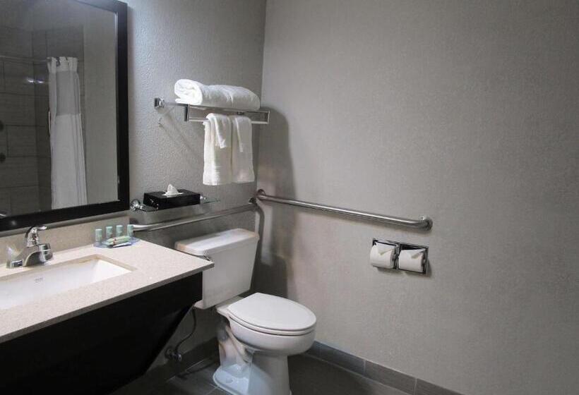 اتاق استاندارد با تخت بزرگ برای معلولان, Best Western Muscatine   Pearl City