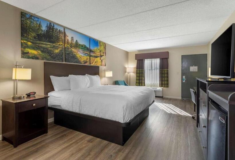 اتاق استاندارد با تخت بزرگ, Clarion Pointe Kimball By Choice Hotels