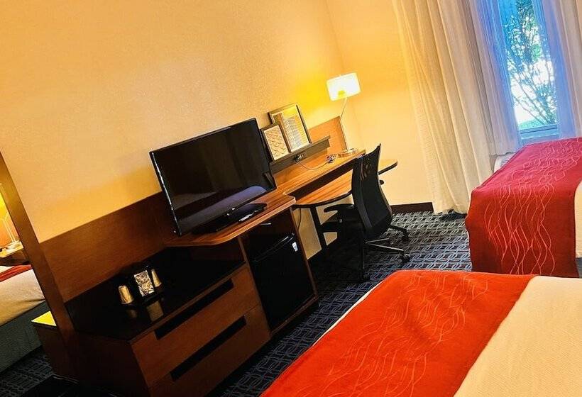 اتاق استاندارد با 2 تخت دوبل, Comfort Inn & Suites