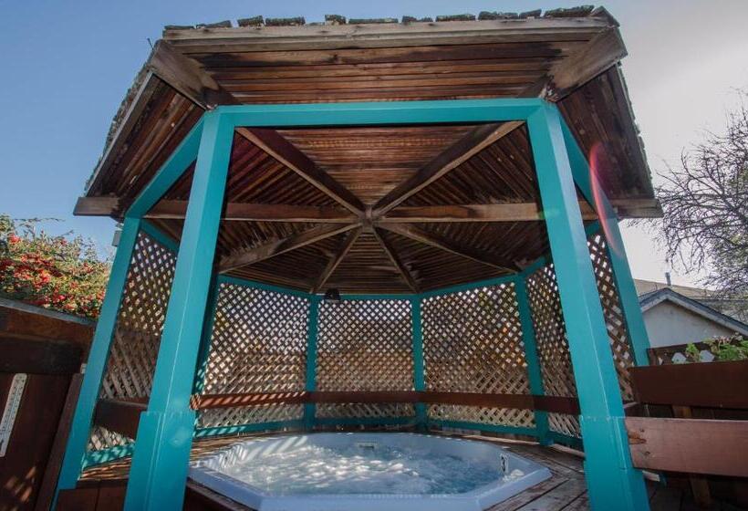 اتاق استاندارد با تخت بزرگ, Continental Inn