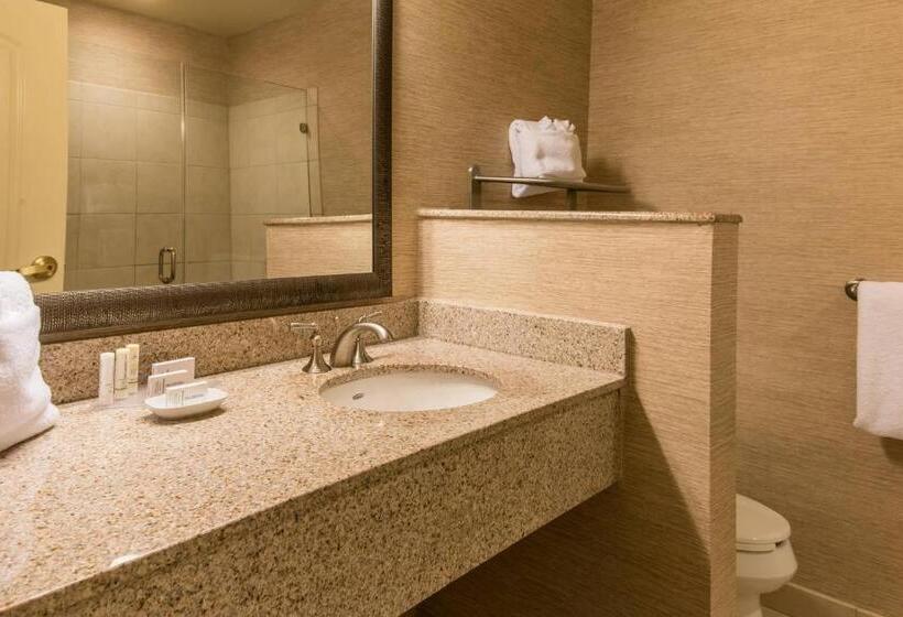 اتاق سوپریور, Courtyard Charleston Mount Pleasant