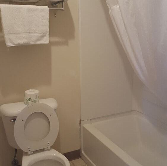 اتاق استاندارد با 2 تخت دوبل, Cozy Inn
