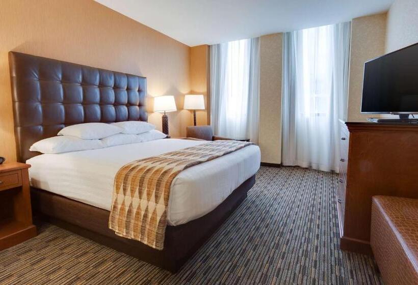 اتاق دلوکس با تخت کینگ و چشم‌انداز, Drury Plaza St Louis At The Arch
