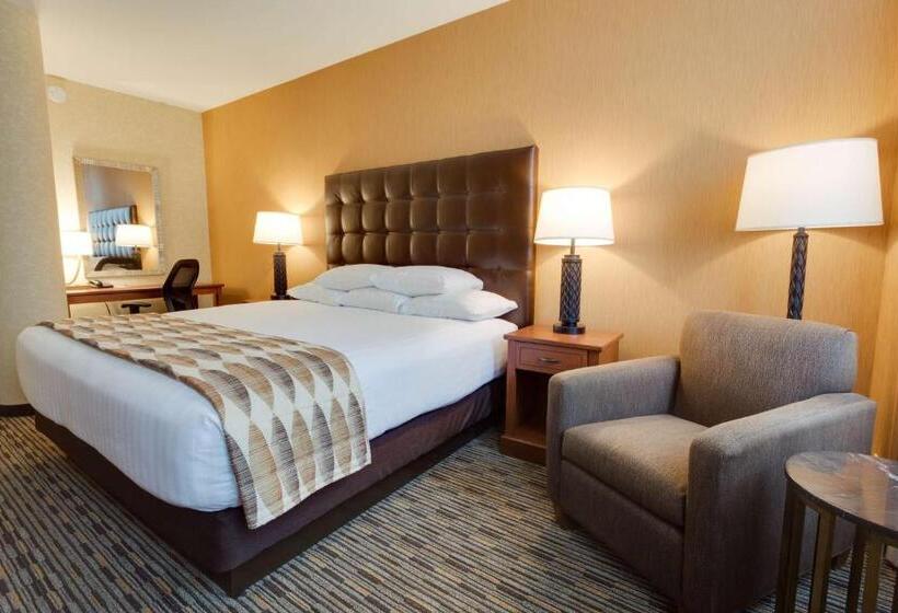 Deluxe Room Adapted for people with reduced mobility, Drury Plaza St Louis At The Arch