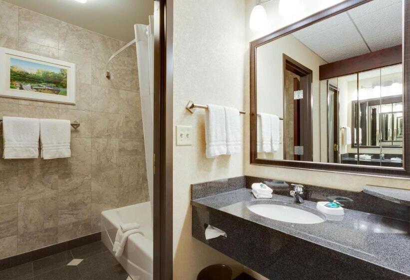 اتاق لوکس با چشم‌انداز, Drury Plaza St Louis At The Arch