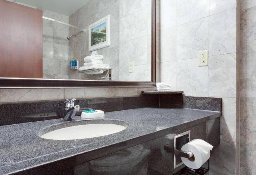 اتاق سوپریور با تخت بزرگ, Drury Plaza St Louis At The Arch