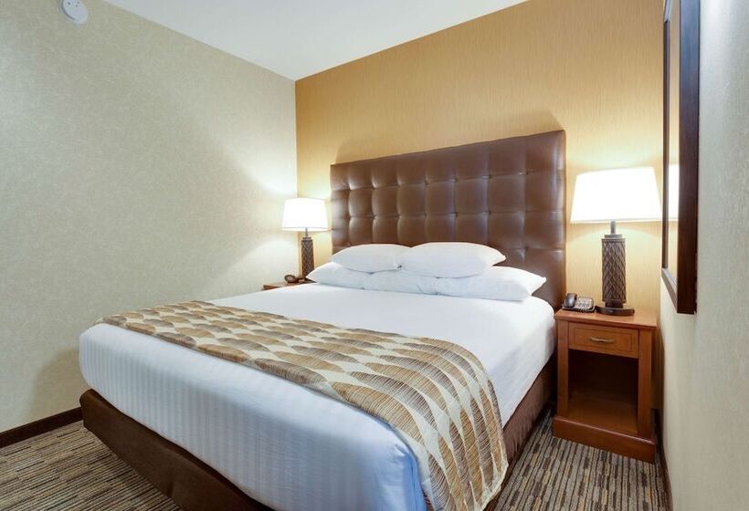 Deluxe Room Adapted for people with reduced mobility, Drury Plaza St Louis At The Arch