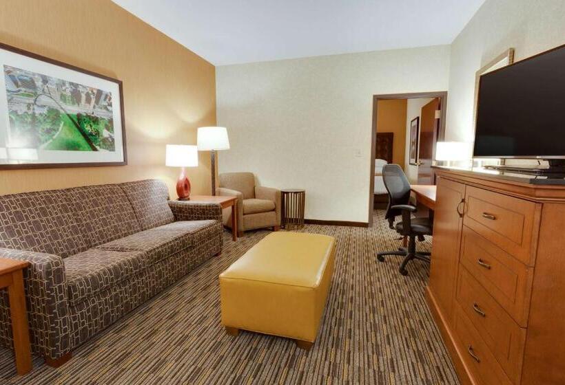 سوئیت با وان آب گرم, Drury Plaza St Louis At The Arch