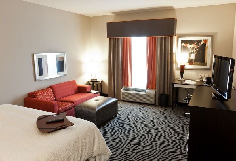 اتاق استاندارد, Hampton Inn & Suites Tulsa/central