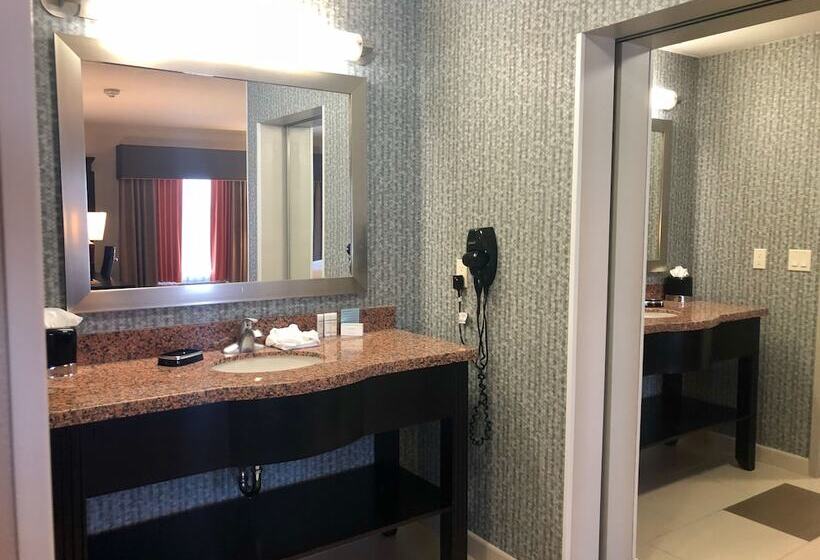 استودیو استاندارد با تخت کینگ, Hampton Inn & Suites Tulsa/central