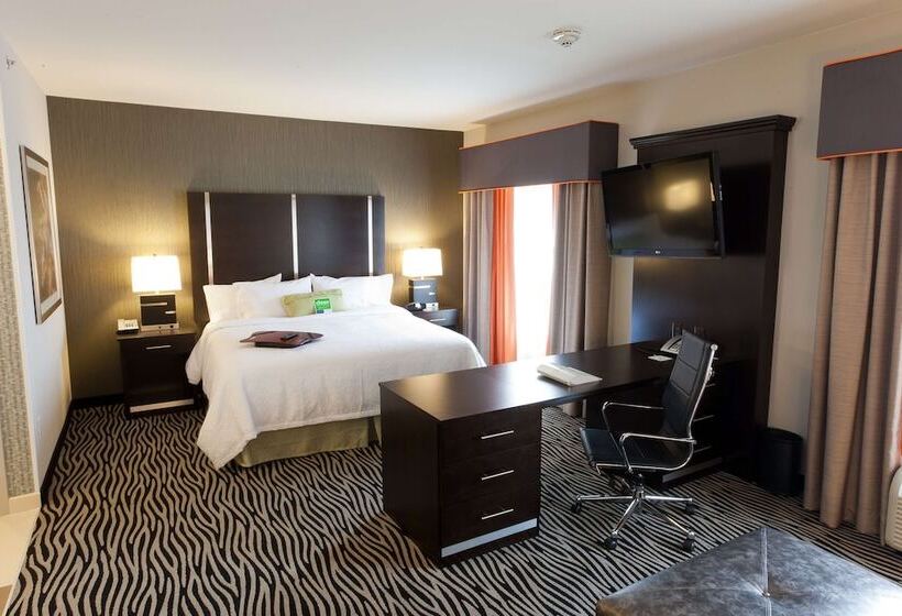 استودیو استاندارد با تخت کینگ, Hampton Inn & Suites Tulsa/central