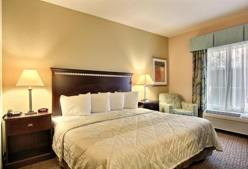 Quarto Estandar Cama King, Magnolia Inn And Suites Pooler