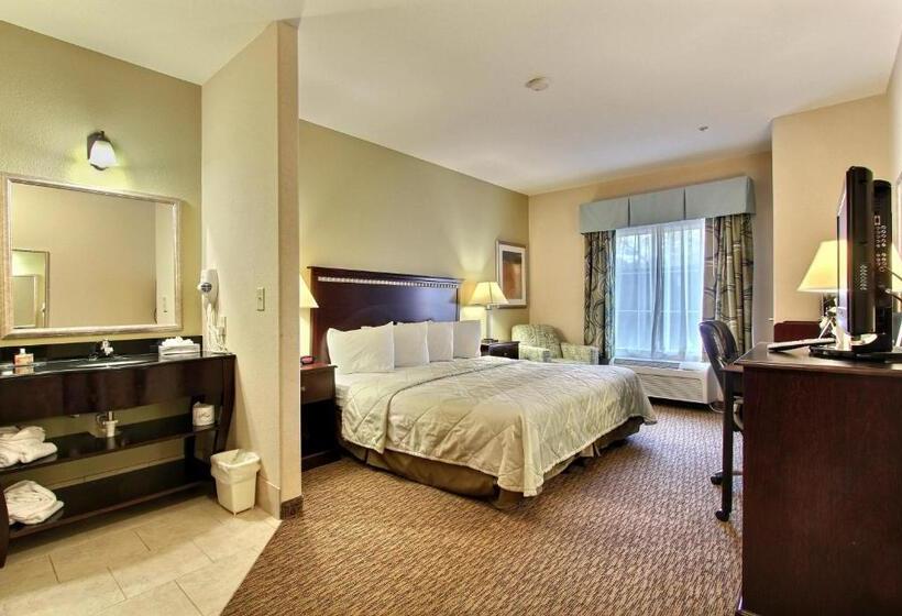 Quarto Estandar Cama King, Magnolia Inn And Suites Pooler