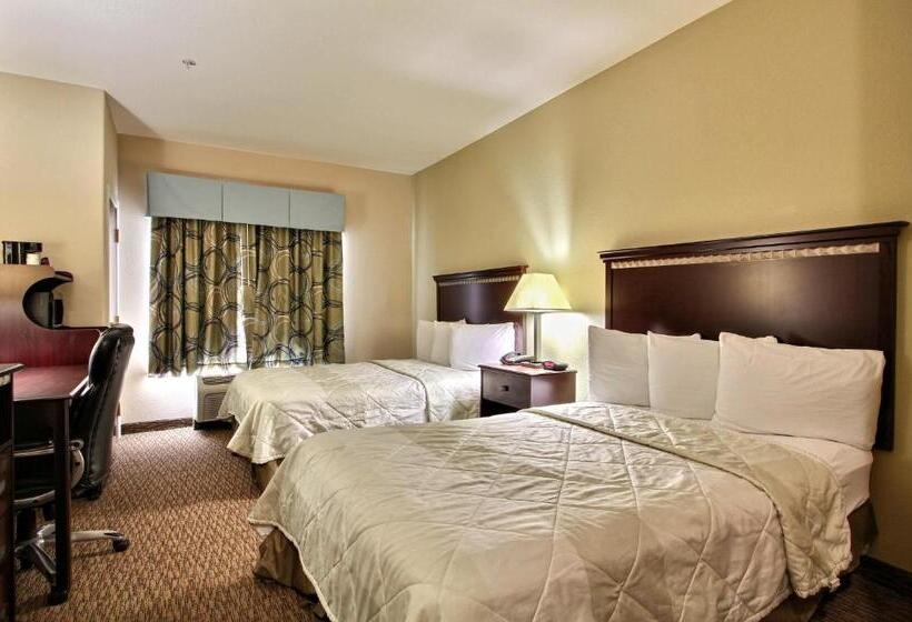 اتاق استاندارد با 2 تخت دوبل, Magnolia Inn And Suites Pooler