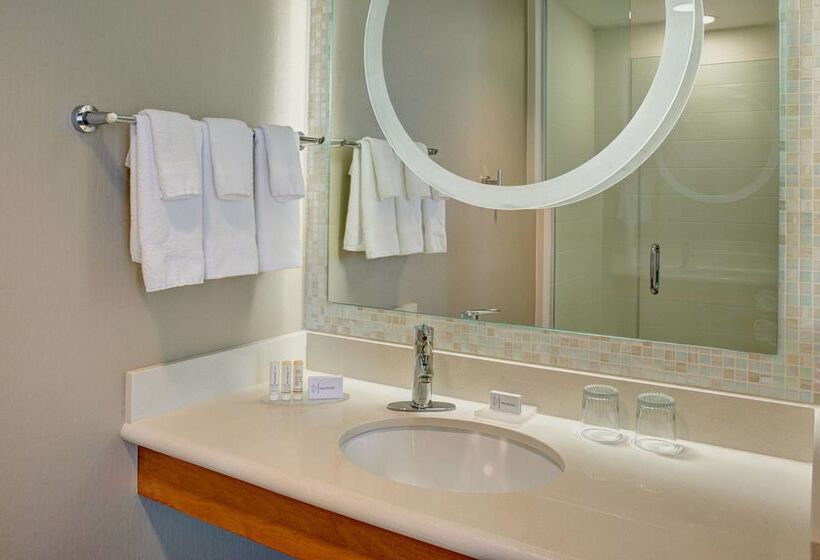استودیوی استاندارد, Springhill Suites By Marriott Saginaw