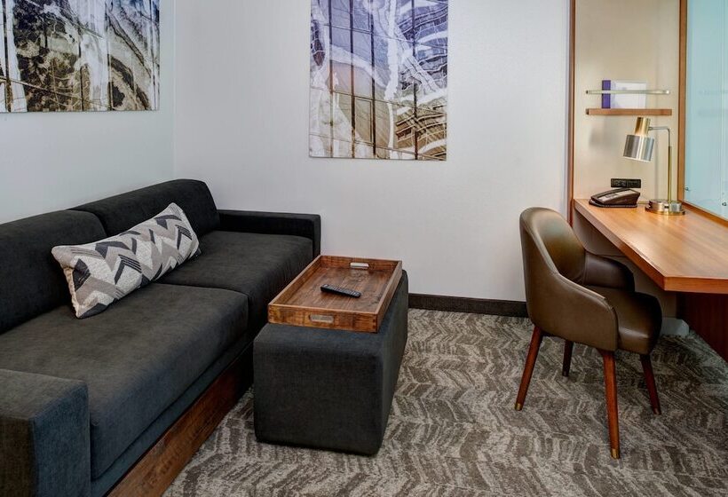 Estudio Estándar, Springhill Suites Saginaw