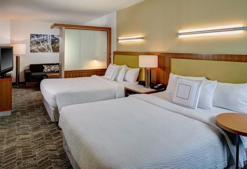استودیوی استاندارد, Springhill Suites By Marriott Saginaw