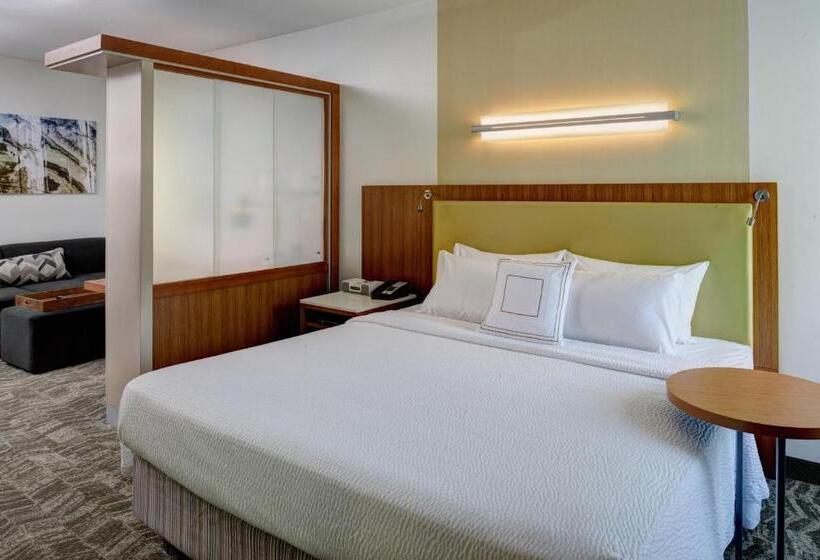 استودیو استاندارد با تخت کینگ, Springhill Suites By Marriott Saginaw