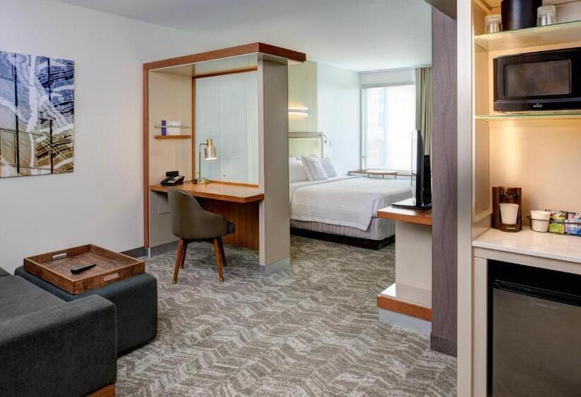 استودیو استاندارد با تخت کینگ, Springhill Suites Saginaw