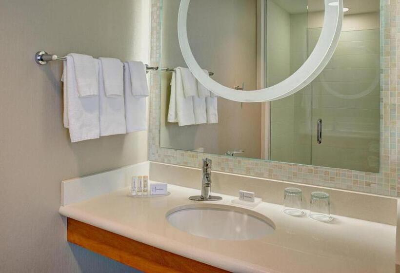 استودیوی استاندارد, Springhill Suites By Marriott Saginaw
