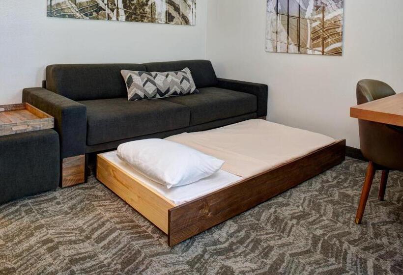 استودیوی استاندارد, Springhill Suites By Marriott Saginaw