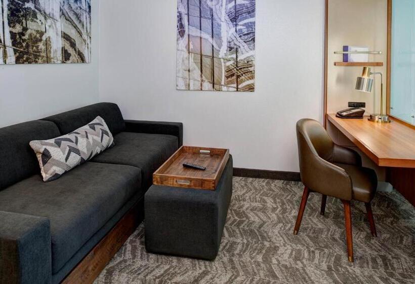 استودیوی استاندارد, Springhill Suites By Marriott Saginaw