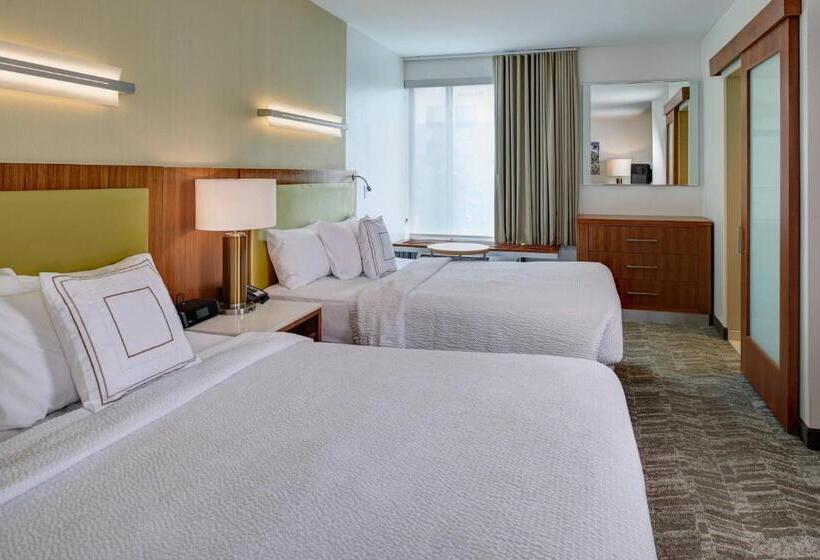 استودیوی استاندارد, Springhill Suites By Marriott Saginaw