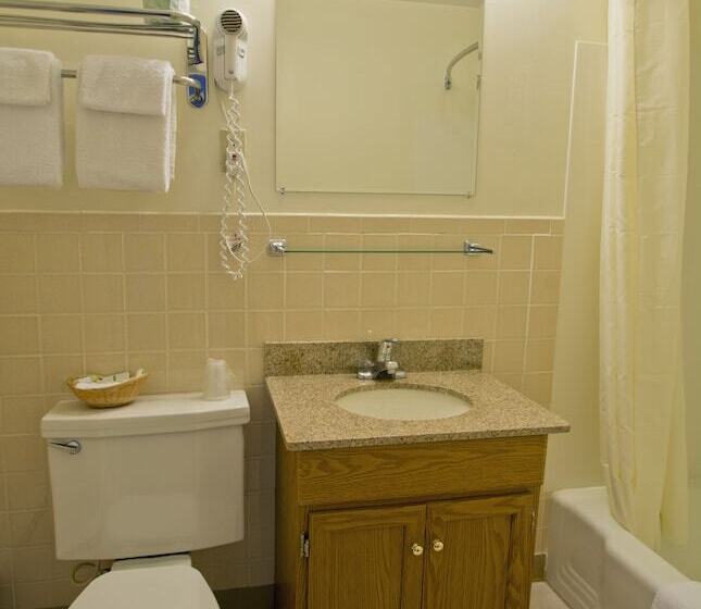 اتاق استاندارد با تخت دوبل, Travelers Inn