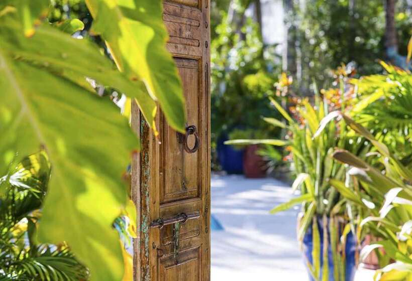 Standard Room, Parrot Key  & Villas