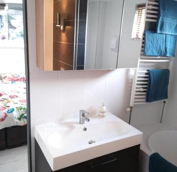 Apartamento 1 Dormitorio, Slapen In Dordrecht