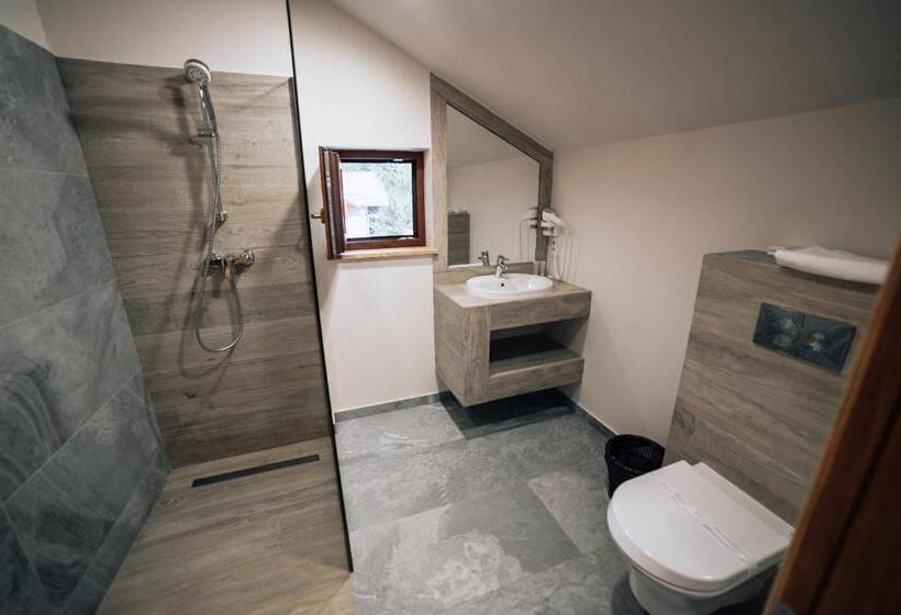 اتاق استاندارد, Popasul Domnesc  Resort& Spa  Voronet Vue