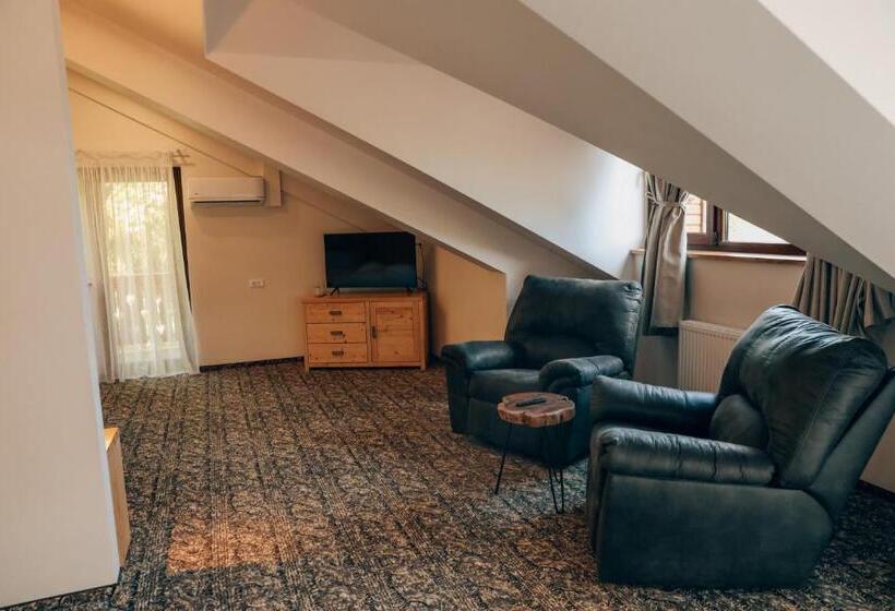 آپارتمان دوبلکس 1 خوابه, Popasul Domnesc  Resort& Spa  Voronet Vue