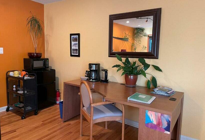 آپارتمان 1 خوابه, Turnagain Guest House