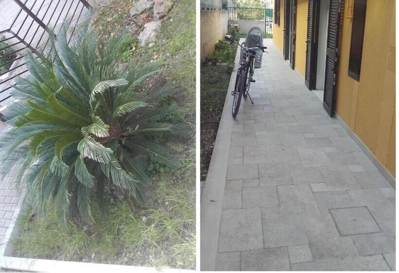 اتاق استاندارد, B&b La Palma