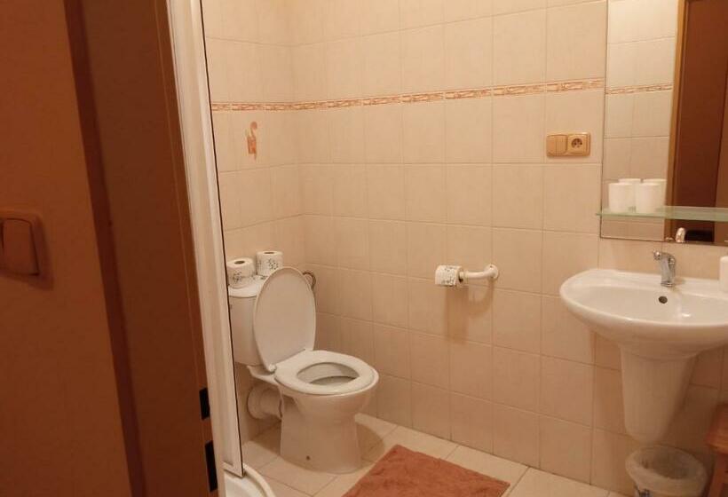 اتاق استاندارد, Penzion U Báby