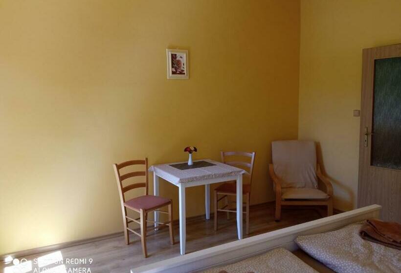 اتاق استاندارد, Penzion U Báby
