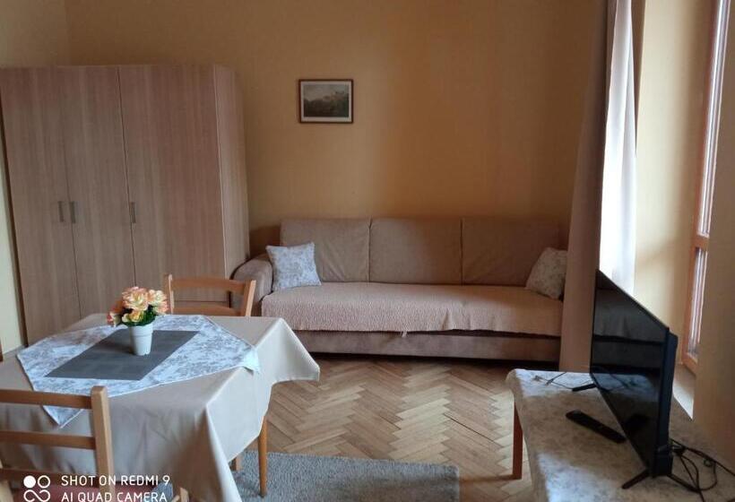 اتاق استاندارد سه تخته با بالکن, Penzion U Báby