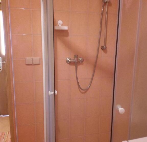 اتاق استاندارد, Penzion U Báby