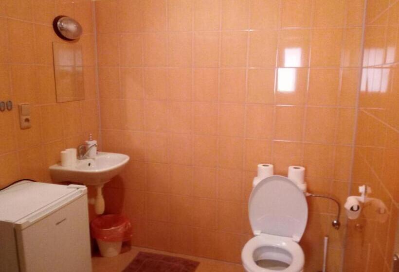 اتاق استاندارد, Penzion U Báby