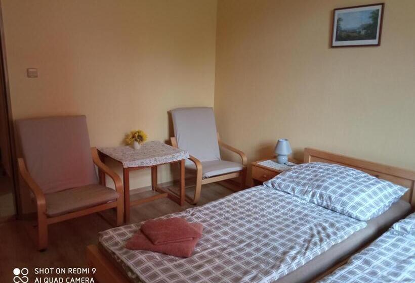 اتاق استاندارد, Penzion U Báby