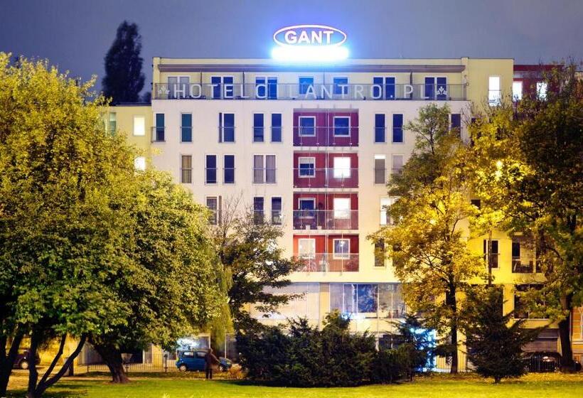 اتاق استاندارد یک تخته با بالکن, Cilantro Bed & Breakfast