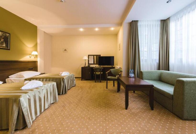 اتاق لوکس, Dziki Potok Karpacz Konferencje & Spa